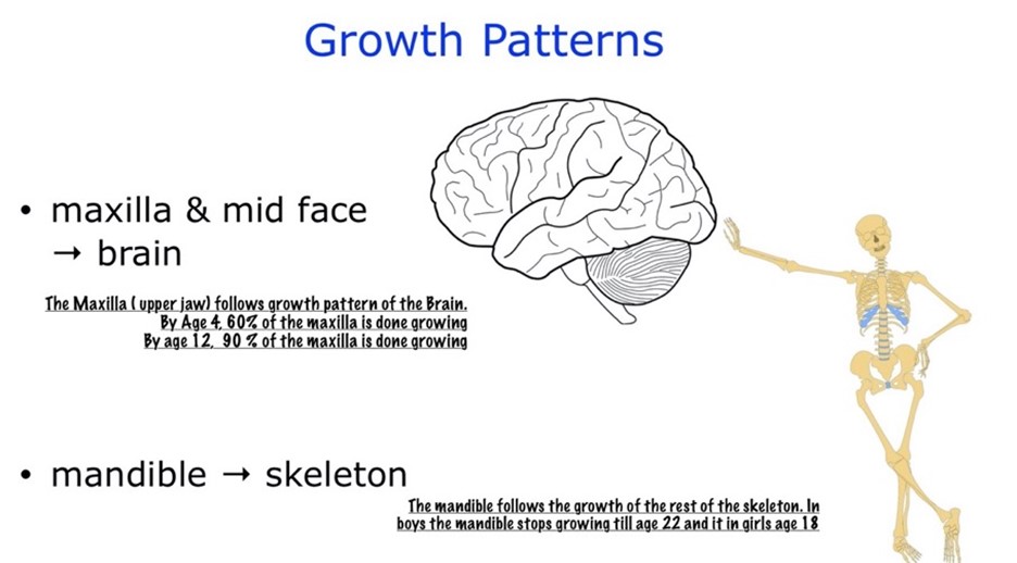 Skeletal Growth Patterns